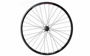 12597ooo_20250805092327